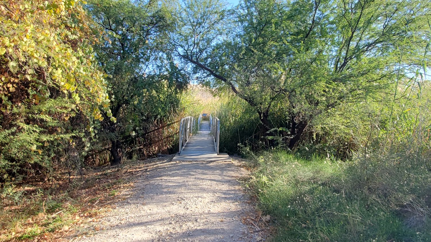 Rio Grand Nature Hike 